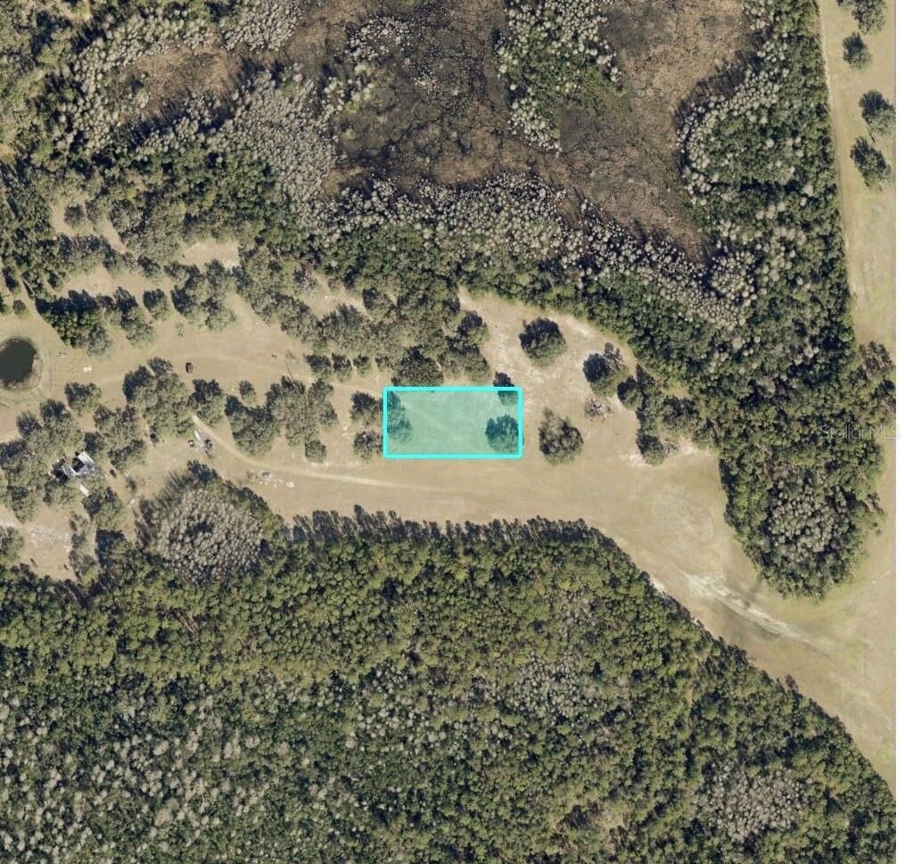 Property Photo: Commonwealth Avenue N FL 33868