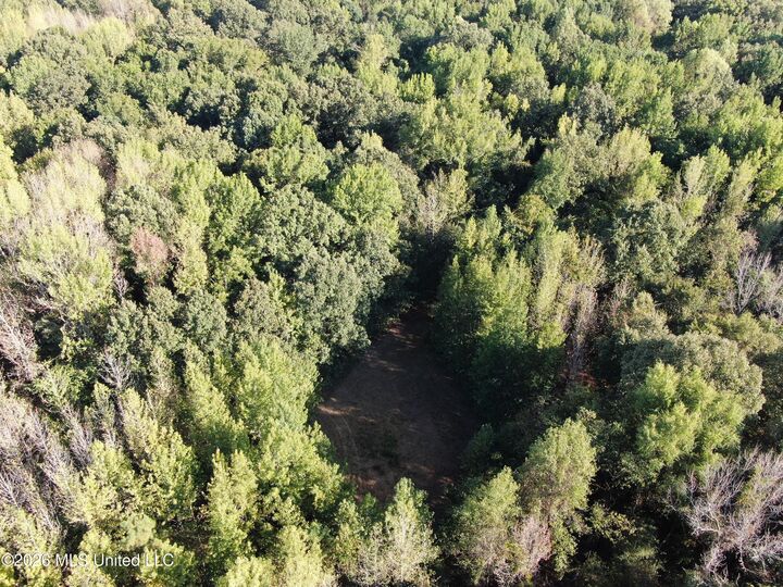 Property Photo:  7 Star Landing Road  MS 38651 