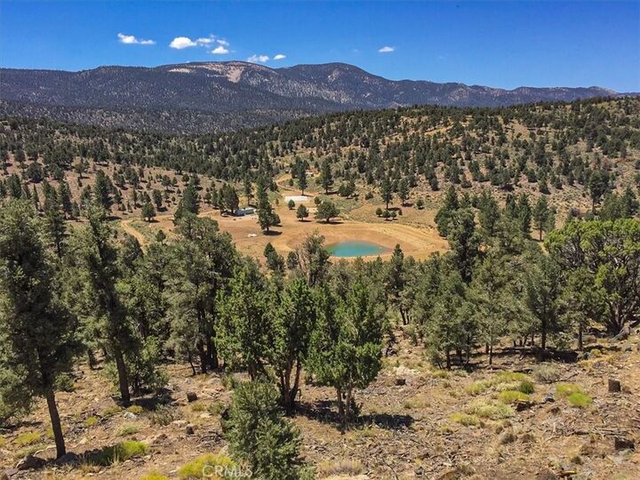 Property Photo:  550 Eagle Ridge Rd  CA 92314 