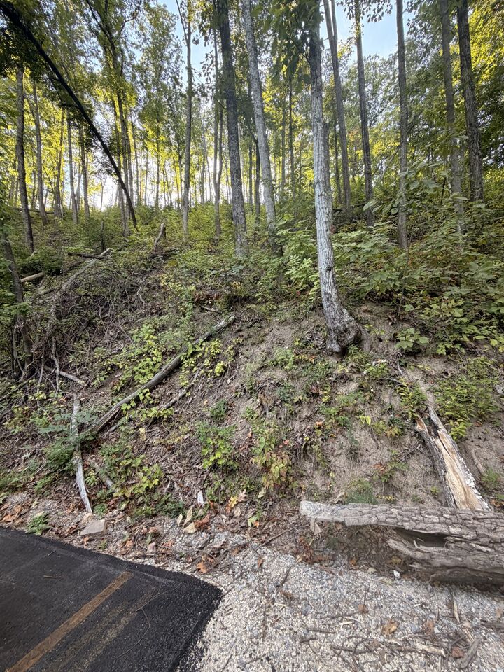 Property Photo: 0 Whippoorwill Hill Way TN 37862