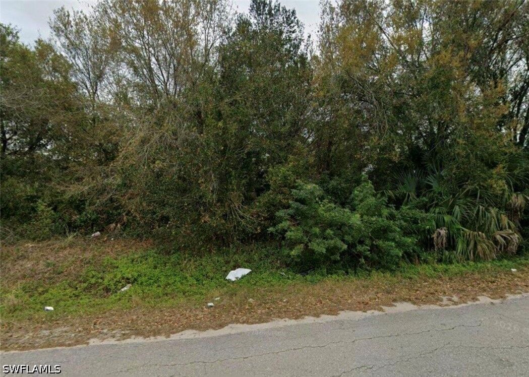 Property Photo: 2125 Leda Avenue S FL 33973
