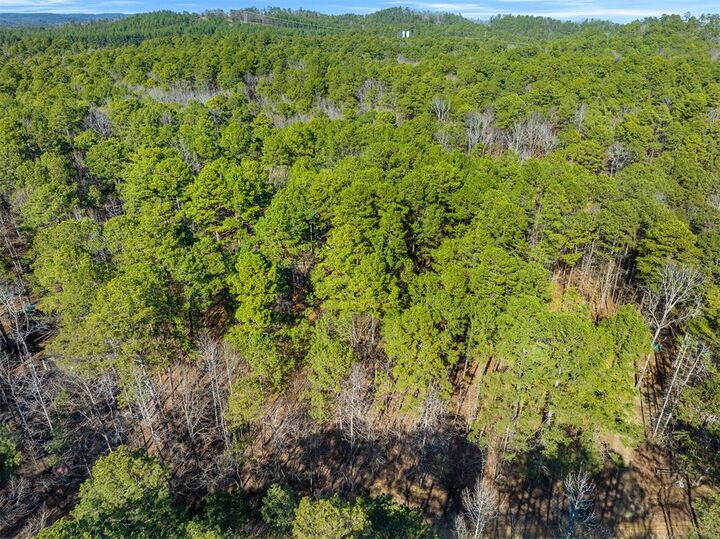 Property Photo:  Lamprey Road  OK 74728 