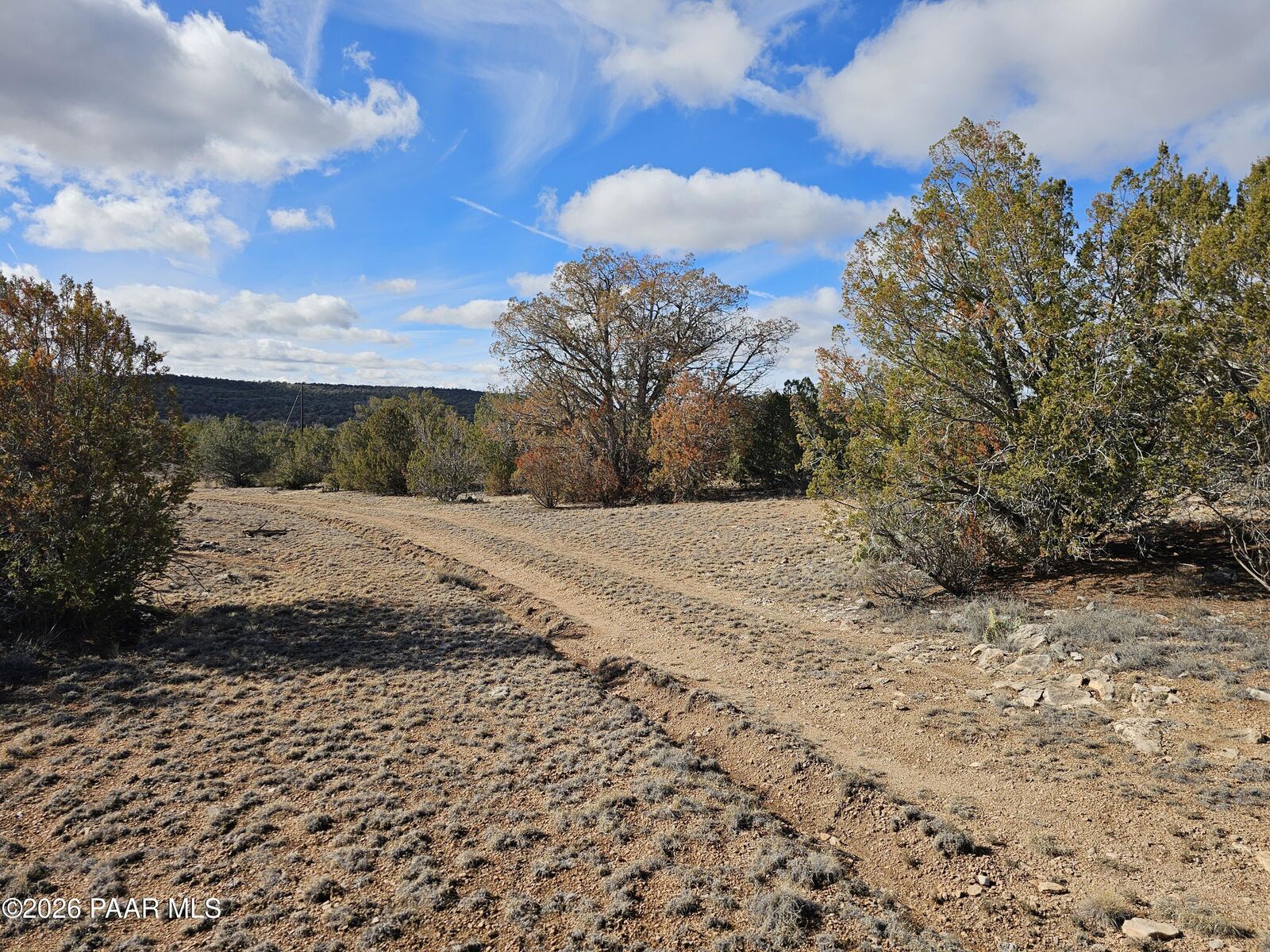 Property Photo: 30022 W Amalia Road AZ 86337
