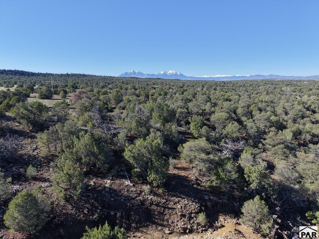 Property Photo:  Tbd Los Vaqueros Cir  CO 81089 