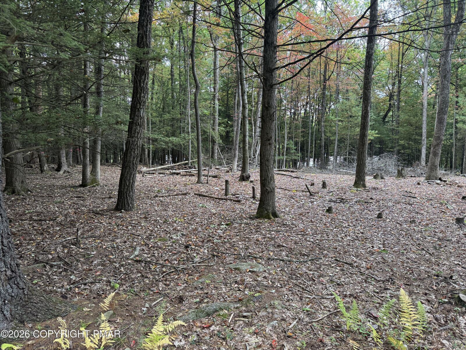 Property Photo: 14 Oak Lane PA 18353