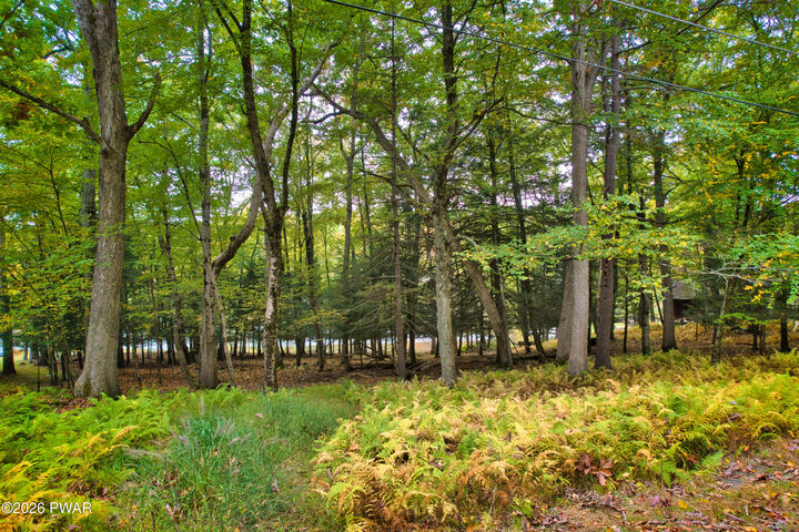 Property Photo: N Lake Shore Drive PA 18328
