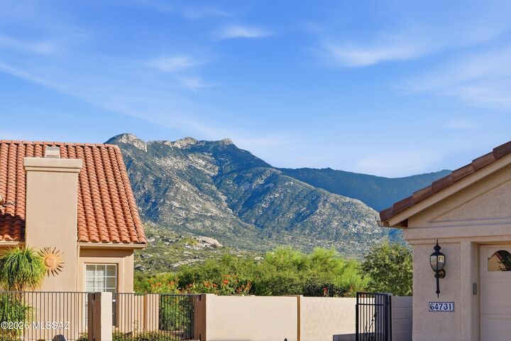 Property Photo:  64730 E Canyon Shadows Lane  AZ 85739 