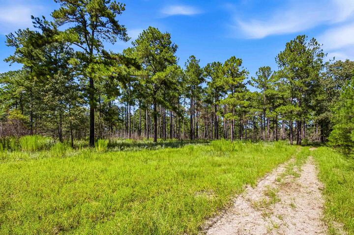 Property Photo:  1569 Dave Plowden Pond Rd  SC 29102 