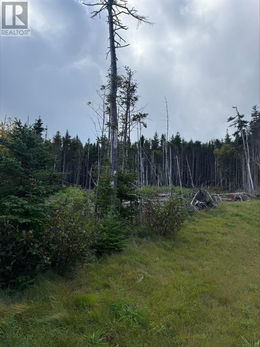Property Photo:  Lot 13 Southern Shore Highway  NL A0A 2H0 