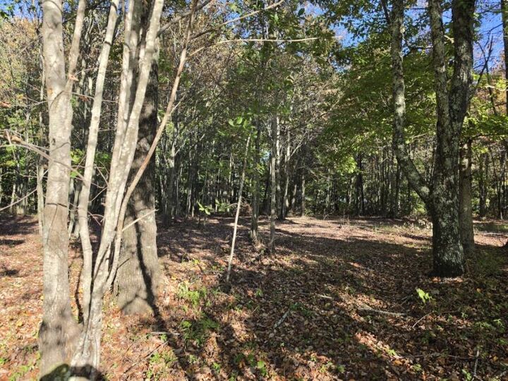 Property Photo:  0 River Bluffs Drive  TN 37347 