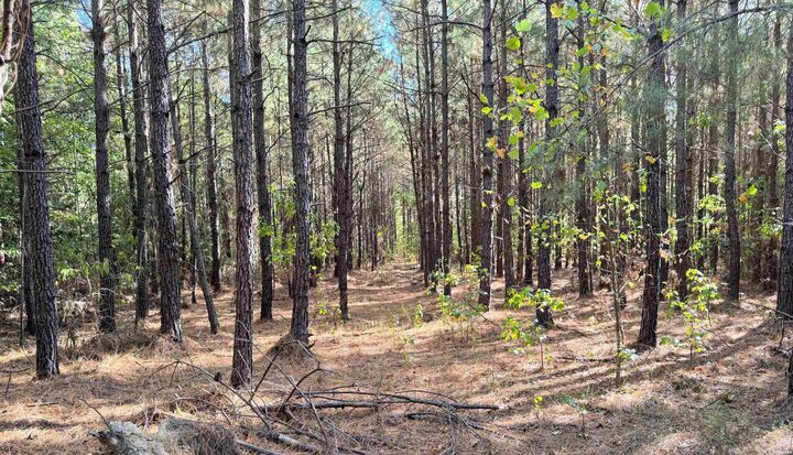 Property Photo: Tbd 38 Acres Dallas 429 AR 71725