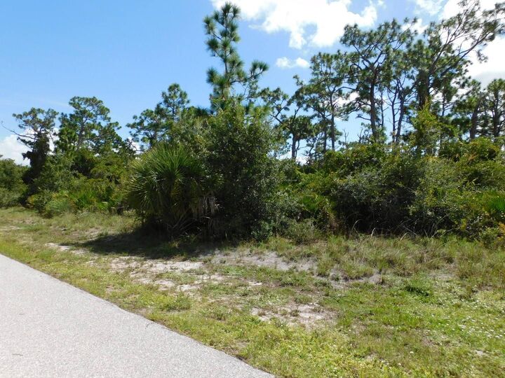 Property Photo:  12387 Hathaway Terrace  FL 33981 