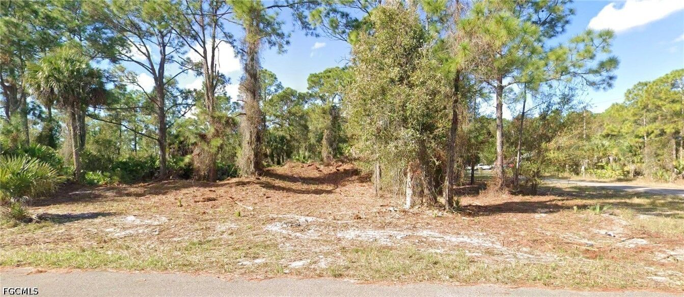 Property Photo:  6017 Rita Avenue N  FL 33971 