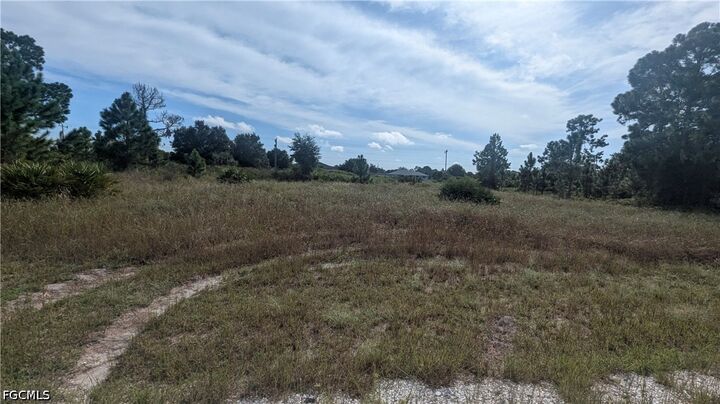 Property Photo:  419 Fernwood Avenue S  FL 33974 