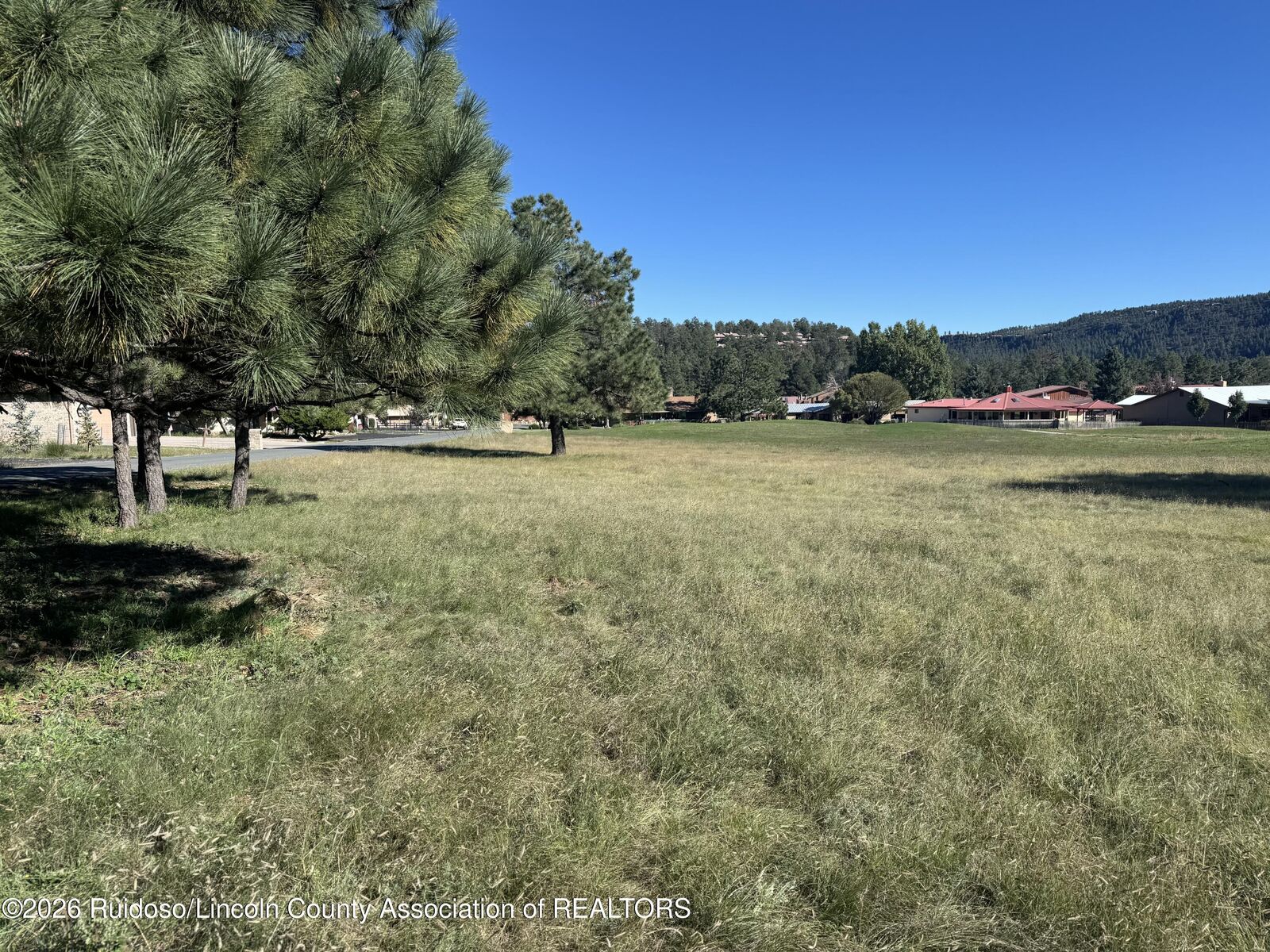 Property Photo:  119B Eagle Drive N  NM 88345 