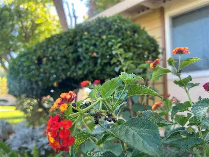 Property Photo: 26759 Whispering Leaves CA 91321