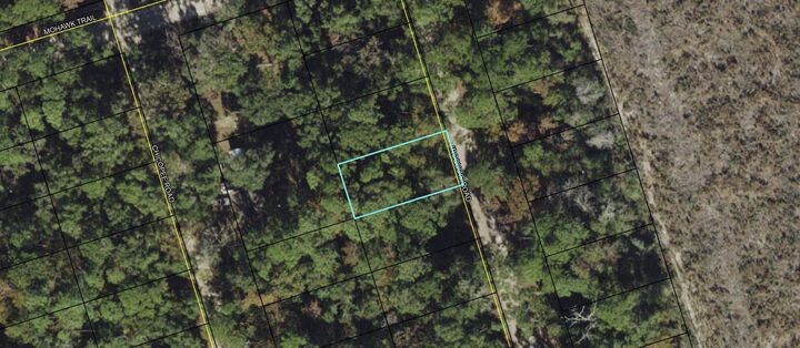 Property Photo:  Lot 38 Iroquois Road  FL 32327 