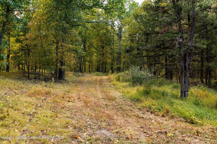Property Photo: 0 Lot 4 Taghkanic Churchtown NY 12521