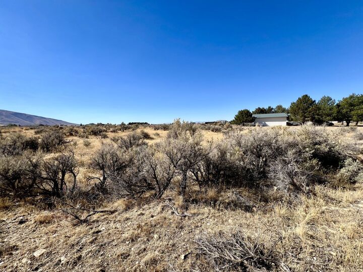 Property Photo:  805 Aesop Drive  NV 89815 
