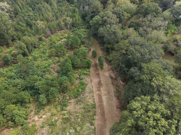 Property Photo: 0 Ga Highway 0208 GA 31831