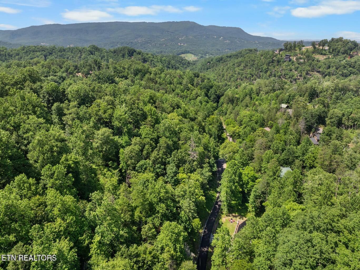 Property Photo:  Balsam Slopes Rd  TN 37862 