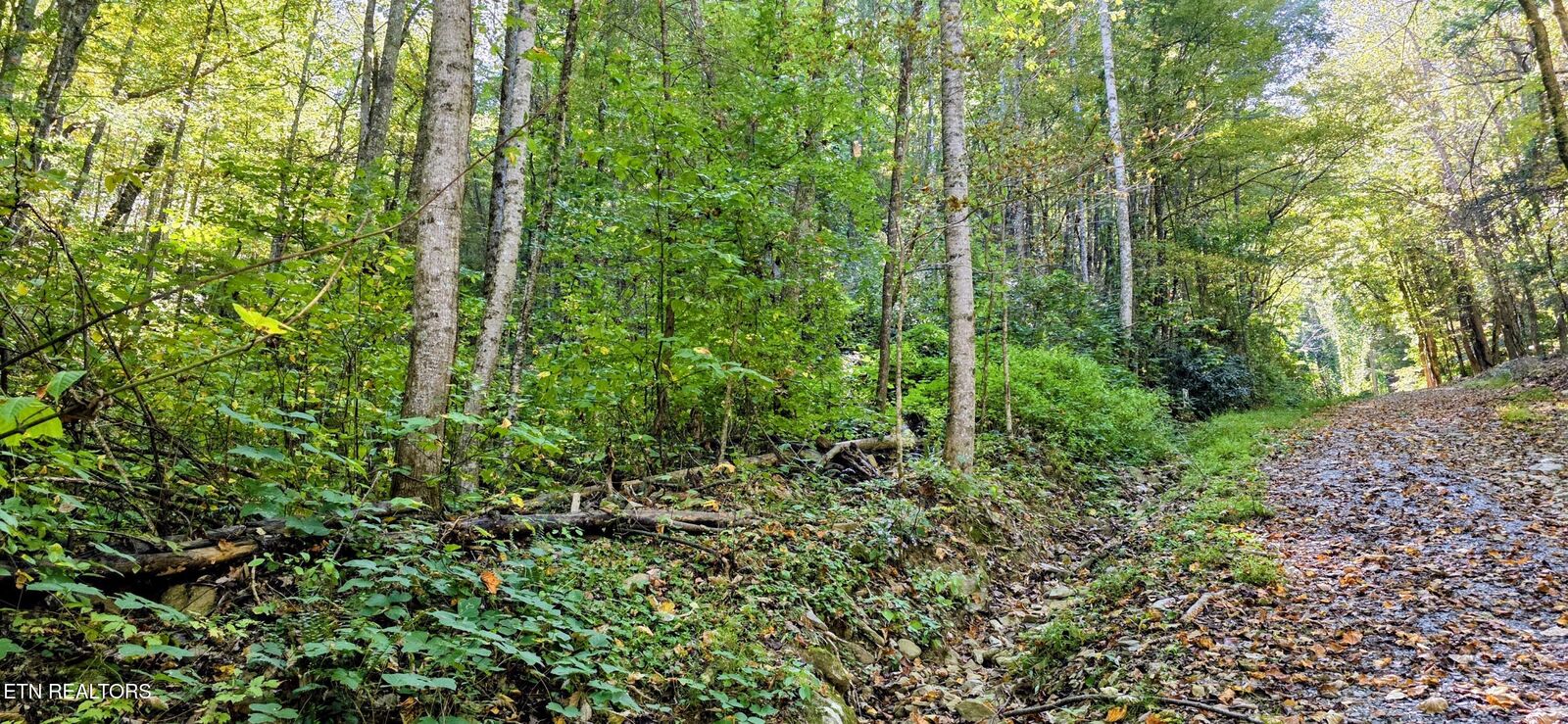 Property Photo:  Balsam Slopes Rd  TN 37862 