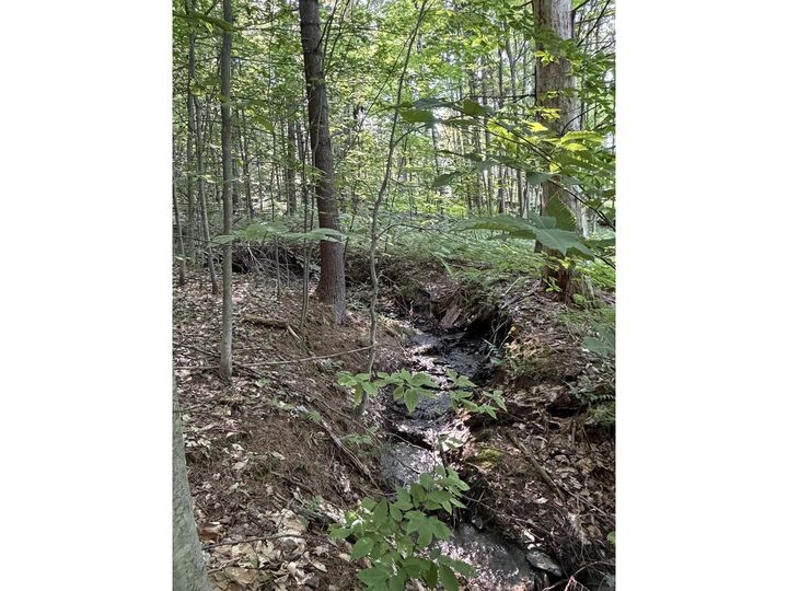 Property Photo: 0 Old Carriage Road VT 05673