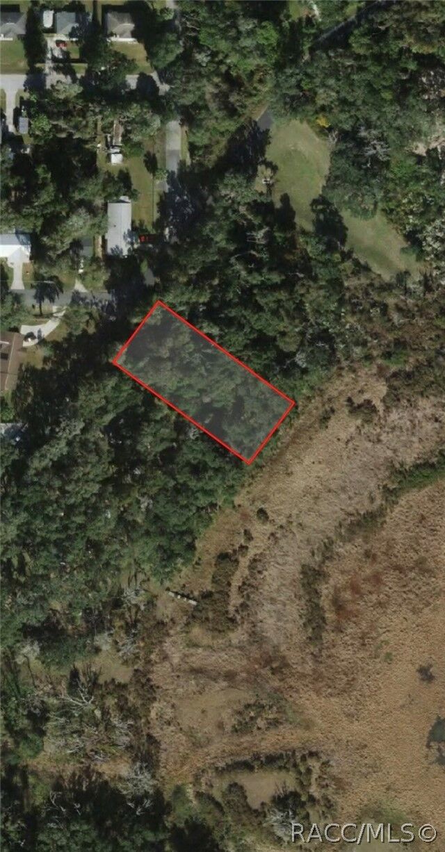 Property Photo:  3301 E Lake Nina Drive  FL 34453 