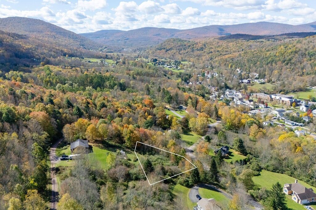 Property Photo: Lot 40 Crest Drive NY 12474