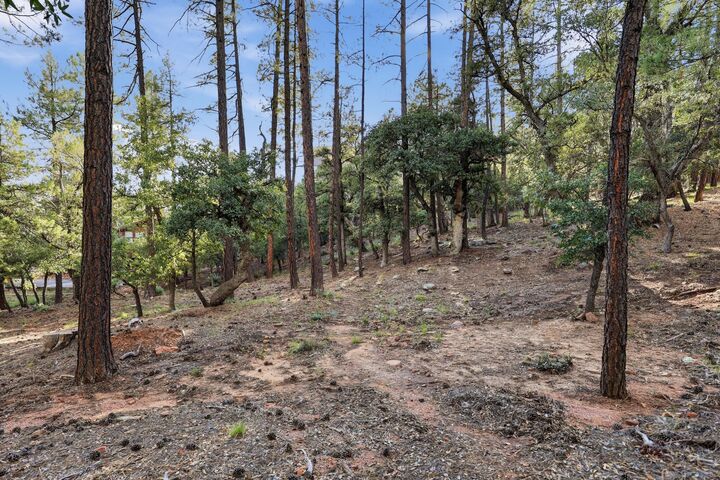 Property Photo: 98 Trails End Drive AZ 85544