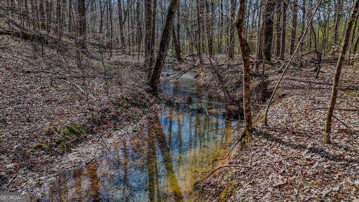Property Photo:  34 Acres Halls Valley  GA 30165 