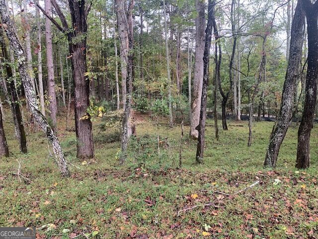Property Photo:  Lot 132 Fox Cove Road  GA 30512 