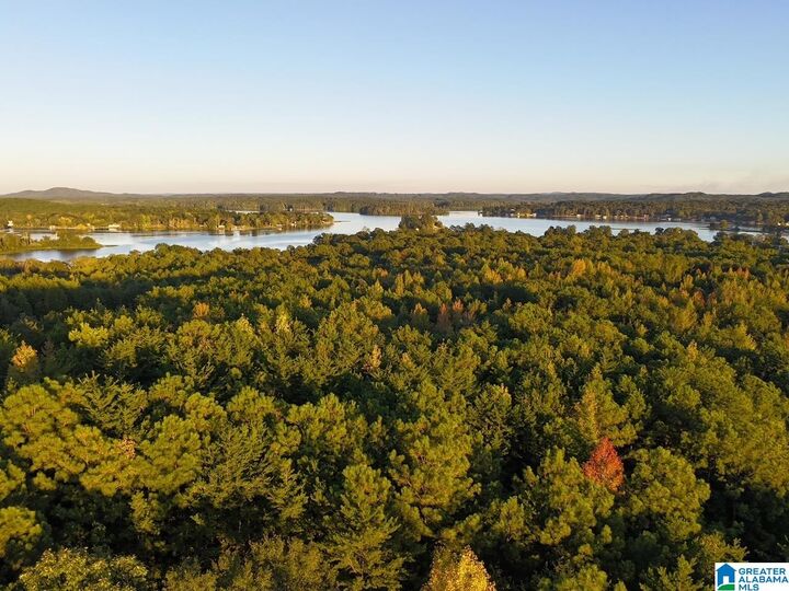 Property Photo: 5243 Highway 71 AL 35143