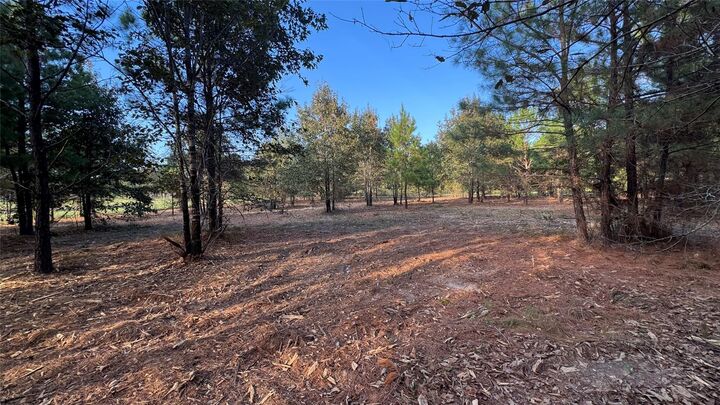 Property Photo:  Tbd Fm 1791  TX 77873 
