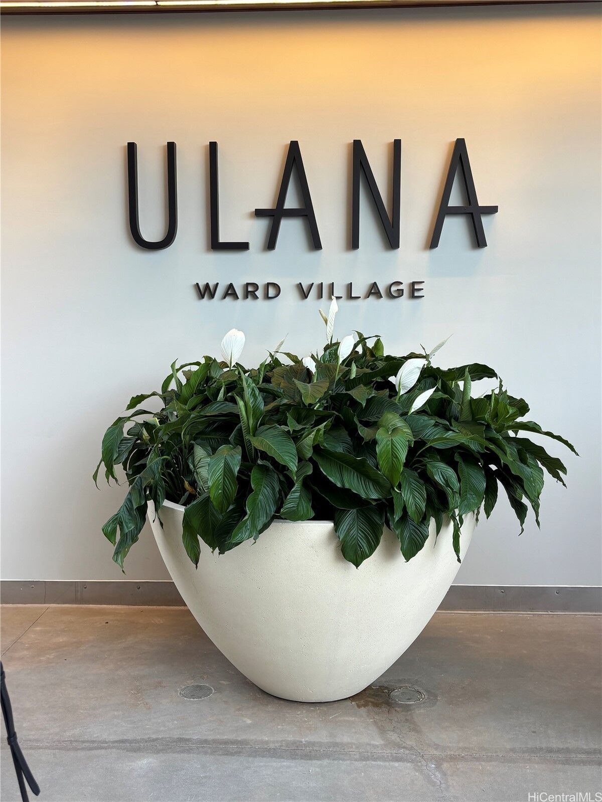 Property Photo:  828 Auahi Street 904  HI 96813 