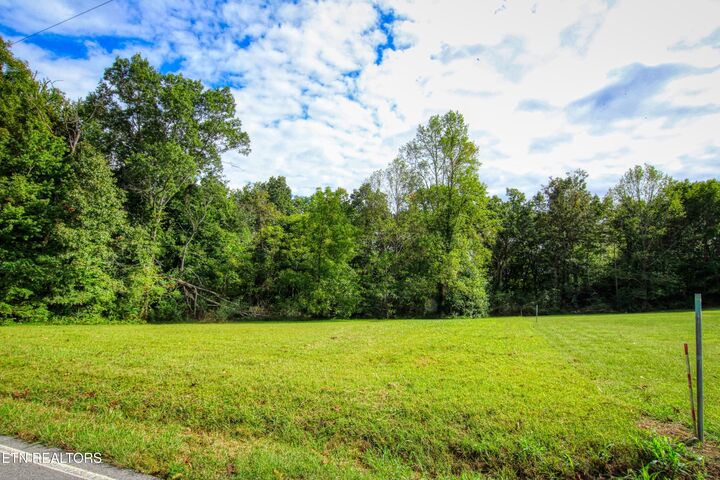 Property Photo:  Old Mount Helen Rd  TN 38504 