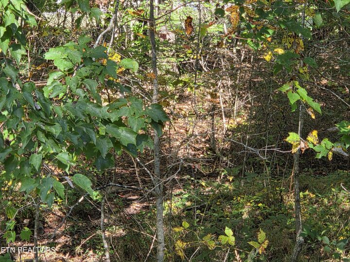 Property Photo: 9118 Cherokee Tr TN 38572