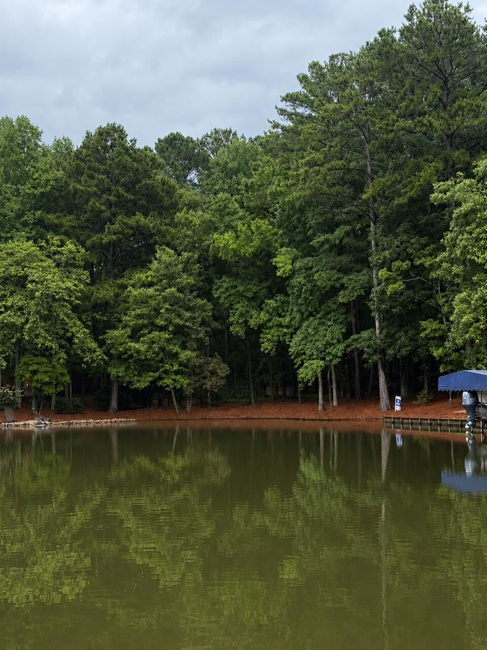 Property Photo:  1290 Tal Lewis Road  GA 30678 