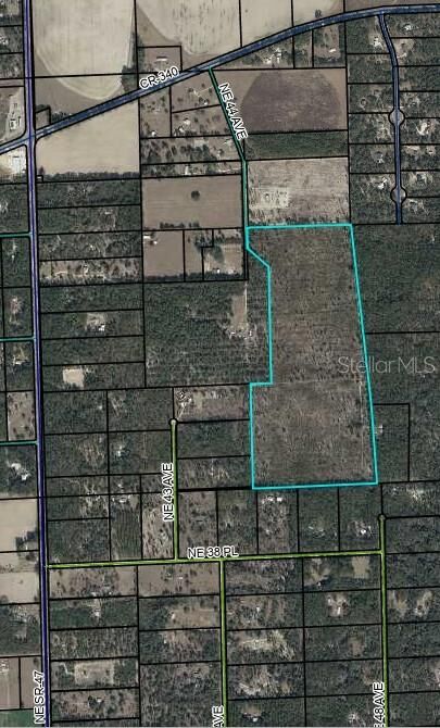 Property Photo: Tbd NE 44th Avenue FL 32643