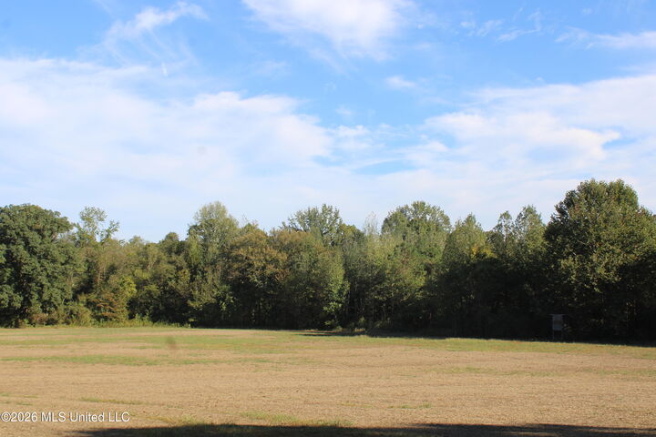 Property Photo:  0 Old Hudsonville Road  MS 38635 