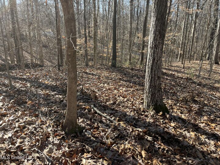 Property Photo: 2311 Pocahontas Cove MS 38632
