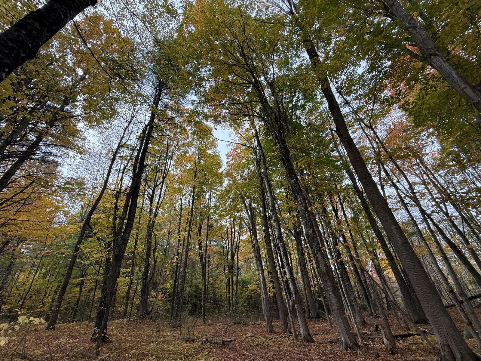 Property Photo:  Map6lot10a Town House Road  ME 04915 