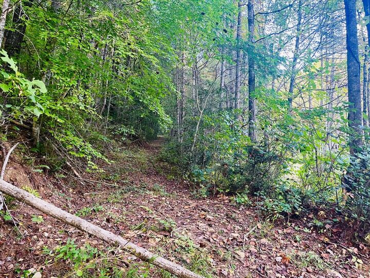 Property Photo: 1798 Flea Mountain Road NC 28906
