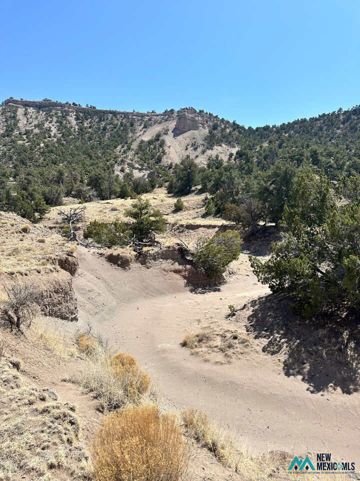 Property Photo:  33 Tadlock  NM 87829 