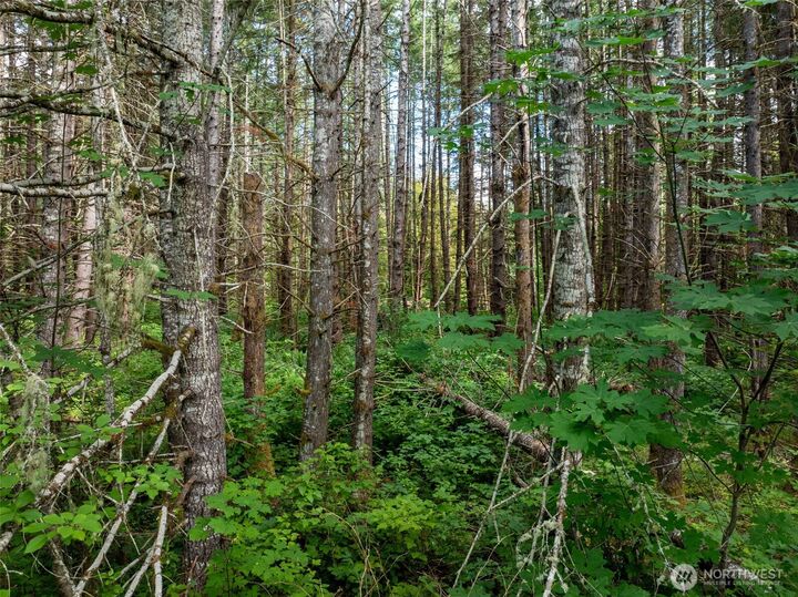 Property Photo:  28907  State Route 706  WA 98304 