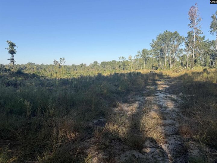 Property Photo: 0 Sc Hwy 773 SC 29126