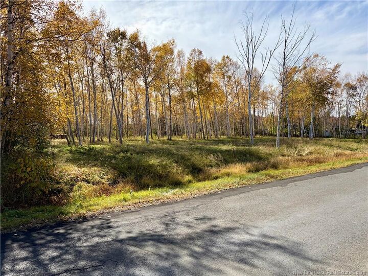 Property Photo:  Vacant Land Goulette Point Road  NB E8E 2K7 