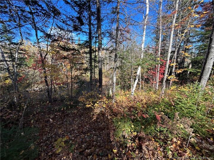 Property Photo:  Lot Allée Des Poulamons  NB E1W 0A5 