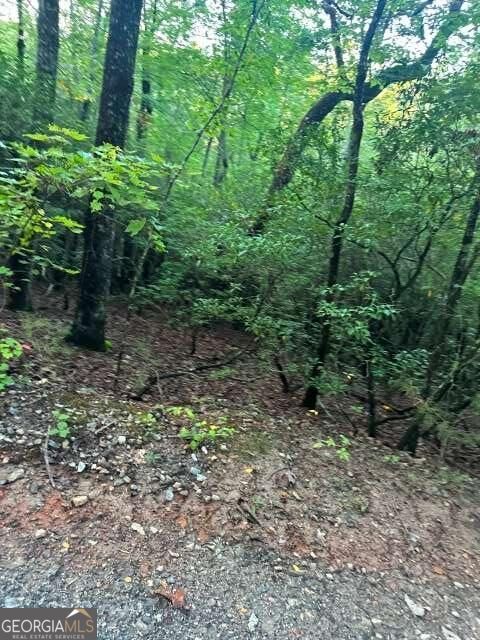Property Photo:  Lots 3&Amp4 Amicalola Woods Road  GA 30534 