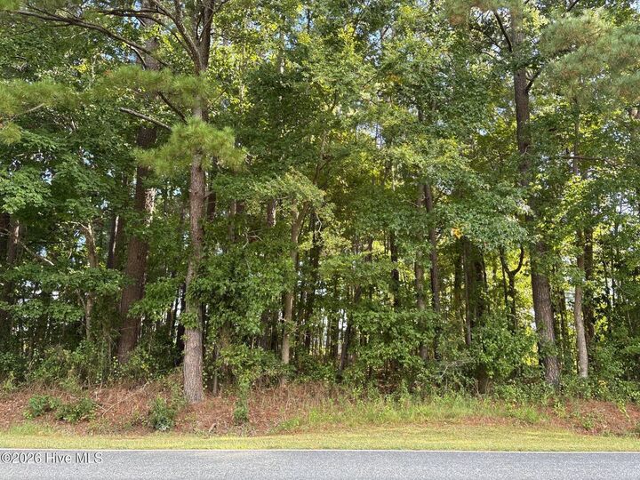 Property Photo:  Tbd Tinkham Road  NC 27935 